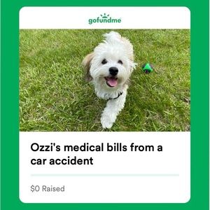 PLEASE HELP‼️ GoFundMe - Ozzis medical bills